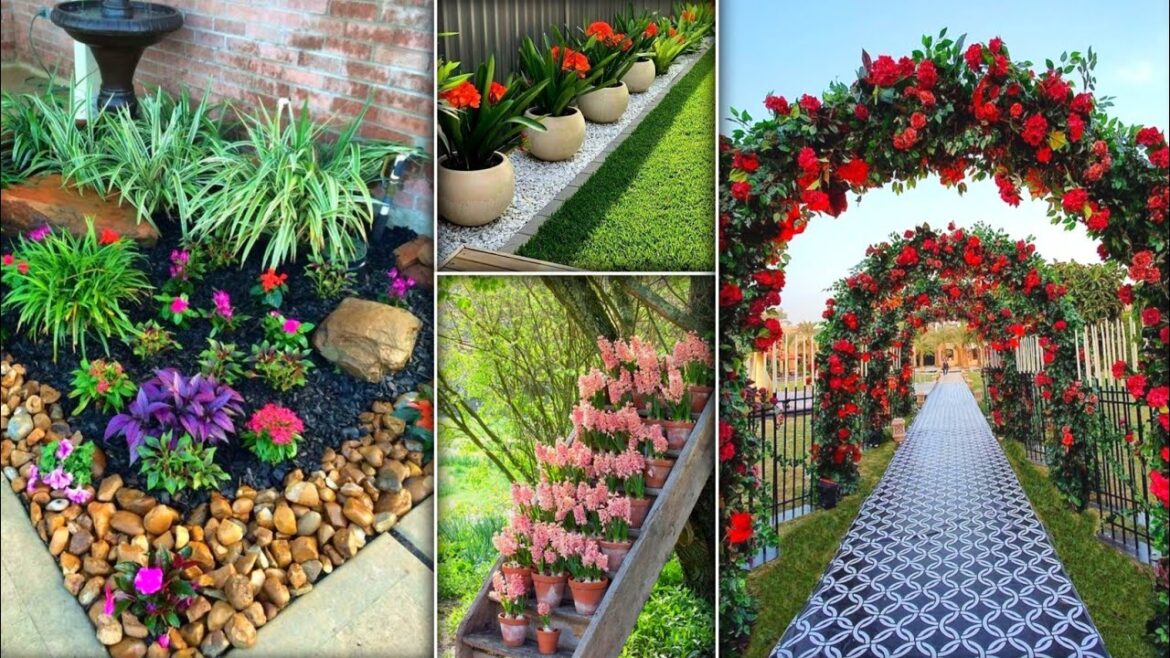 Spring Garden ideas | Top 50+ Designs And Decor Our Garden | Plants in Garden | Spring | Modern New Spring Garden ideas | Top 50+ Designs And Decor Our Garden | Plants in Garden | Spring | Modern New