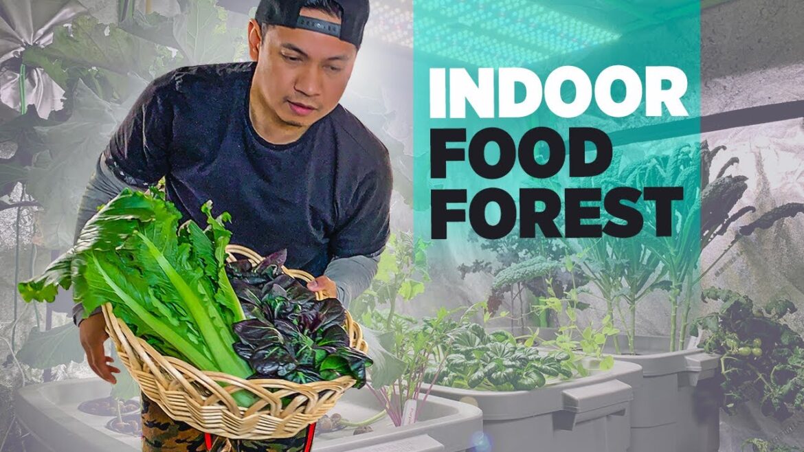 Gardening is a way to slow down, connect with nature, and nourish mind, body and soul