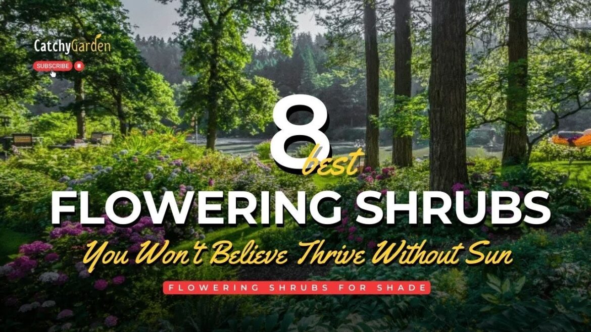 8 Best Flowering Shrubs You Won't Believe Thrive Without Sun 🌳🌸🌹
