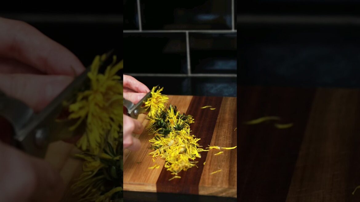 How to Make Dandelion Tea 🫖🌼