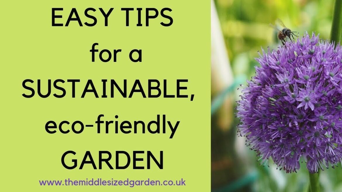 Easy tips for sustainable gardening… Easy tips for sustainable gardening...