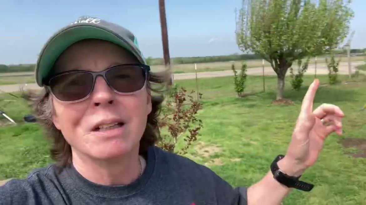 Out Like A Lion! Heads up East! We Are Still under A Threat!🌪️