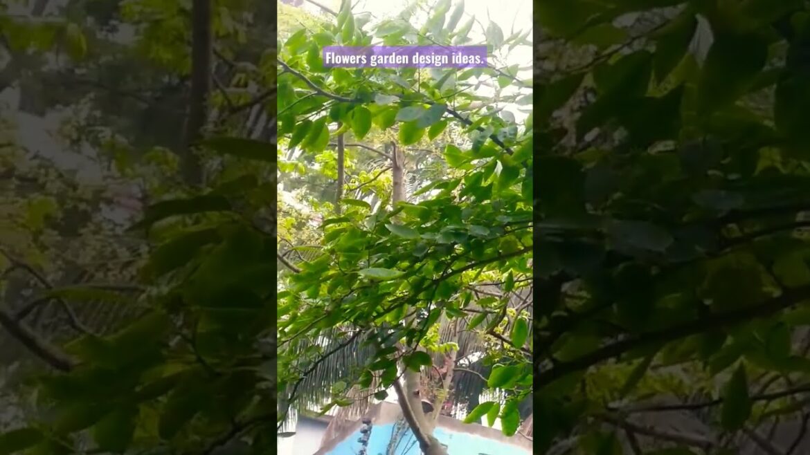 Garden design ideas. Garden environment. #viral #viralvideo #design #gardening #shortsfeed.