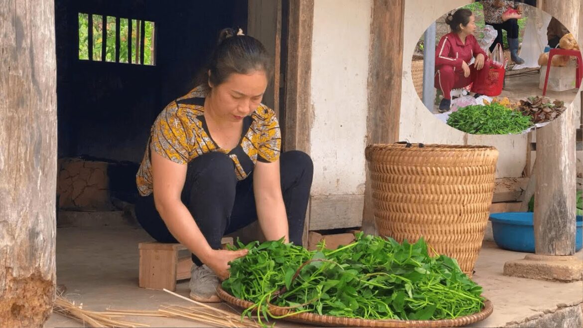 Harvest bananas, bring vegetables to the market to sell | Family farrm|