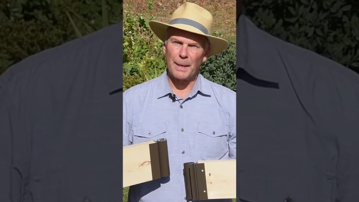 How to Build a DIY Raised Bed