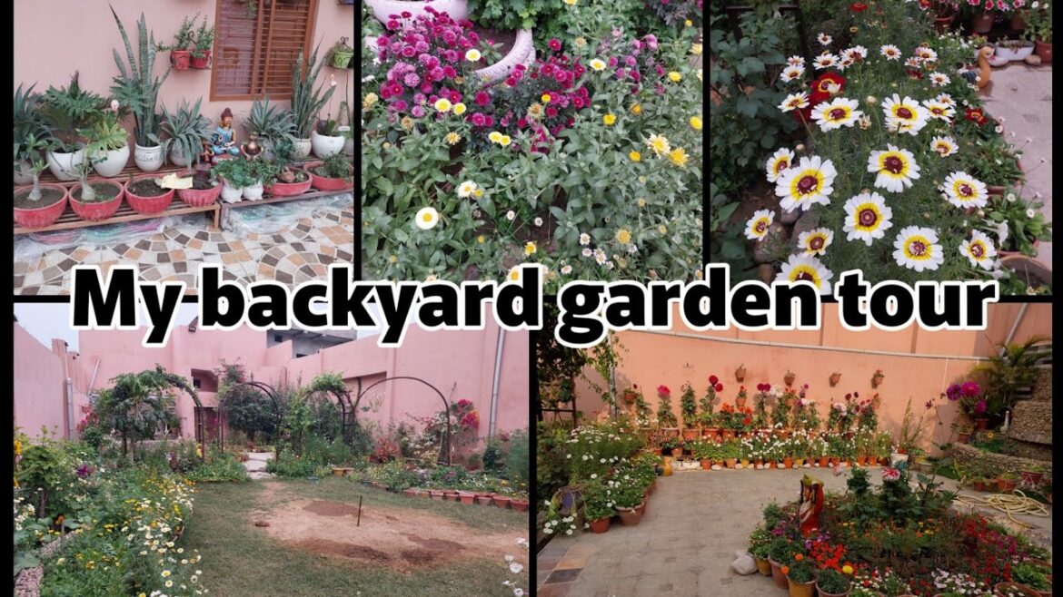 My backyard garden overview in March 2023 #tour of backyard garden in last spring