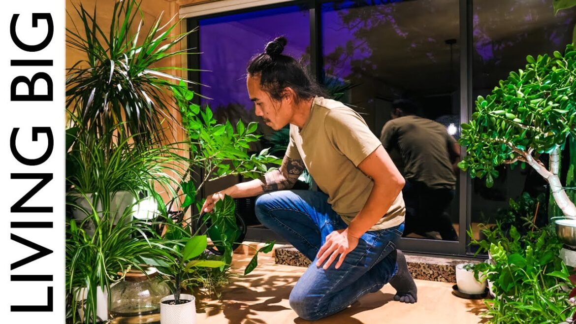 A Tiny House Like A Zen Forest A Tiny House Like A Zen Forest