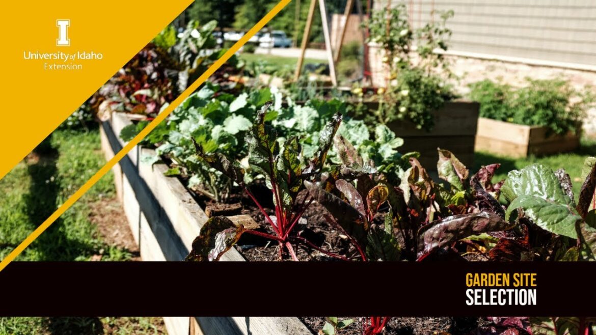 Garden Site Selection - 2023 Idaho Home Garden Tips