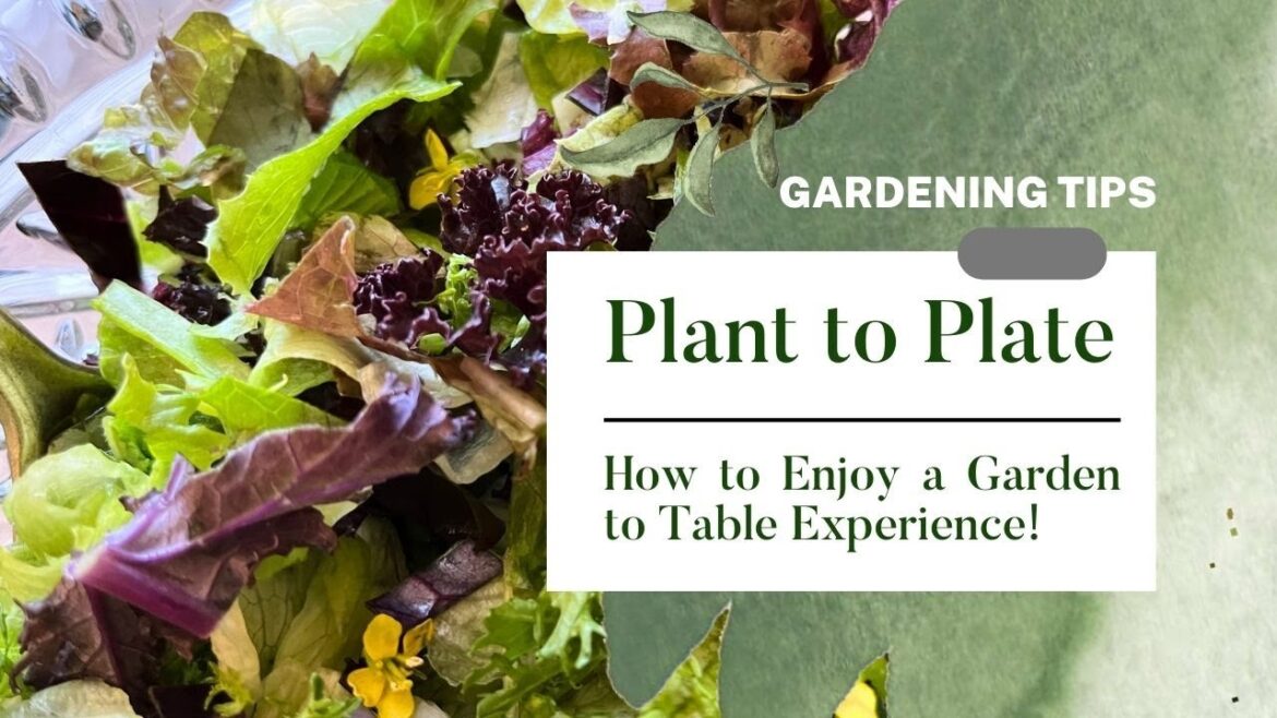Plant to Plate How to Enjoy a Garden to Table Experience!