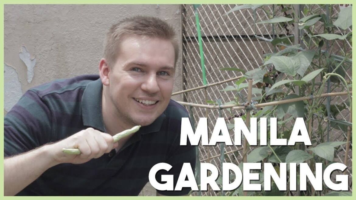 How to grow vegetables in your MANILA CONDO (URBAN GARDENING TIPS with Chris Urbano)