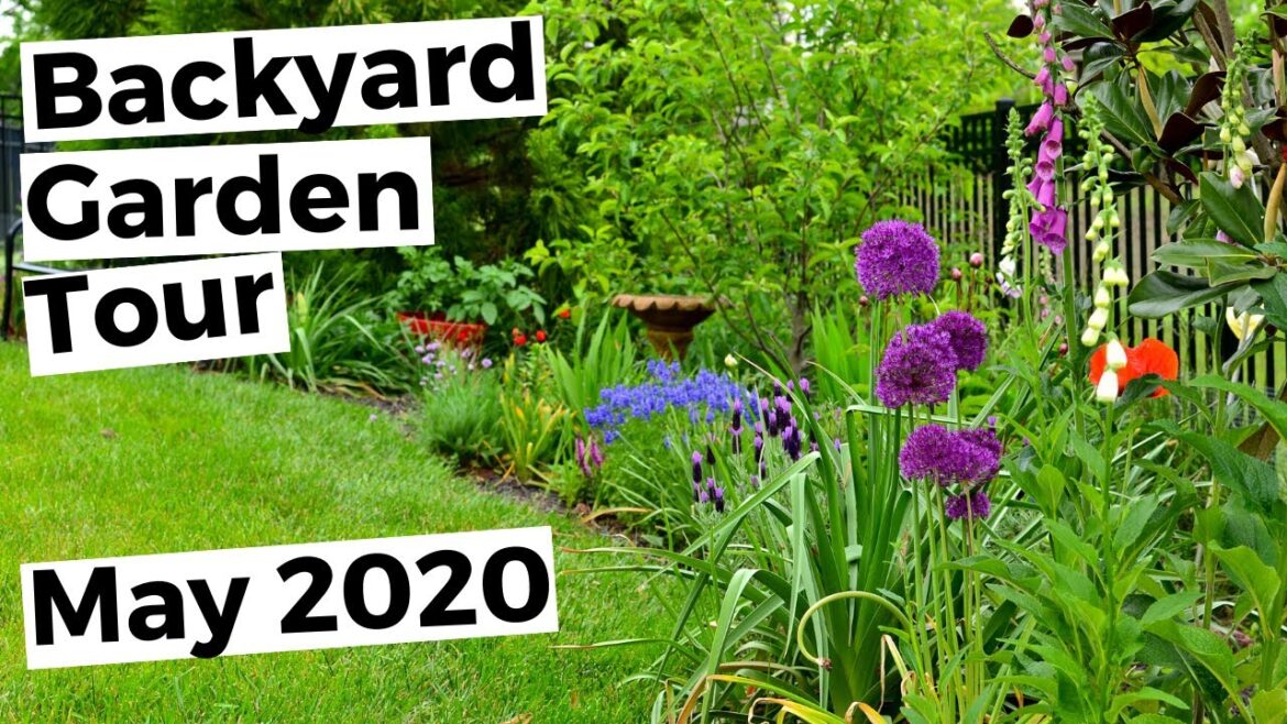 Small Yard Garden Tour – Spring Cottage Garden Tour – Backyard Flower Garden Ideas Small Yard Garden Tour - Spring Cottage Garden Tour - Backyard Flower Garden Ideas