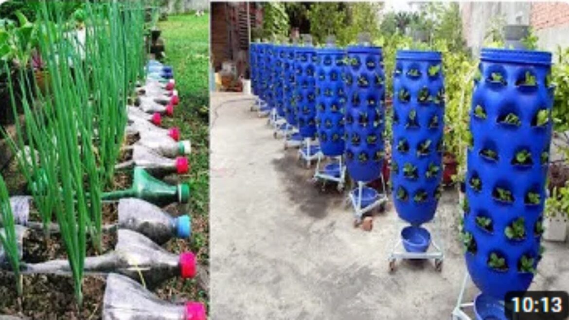 90 Beautiful Garden ideas Using Old Plastic Bottles - DIY Garden Ideas{Mr Bee Farm}