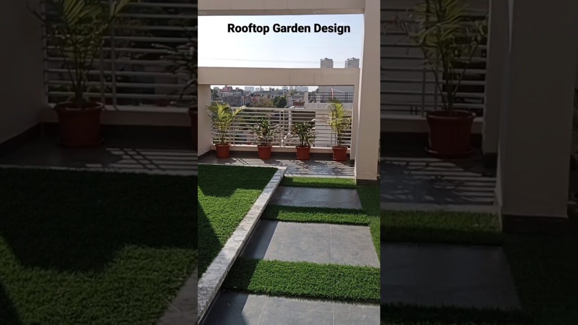 #shorts rooftop garden design