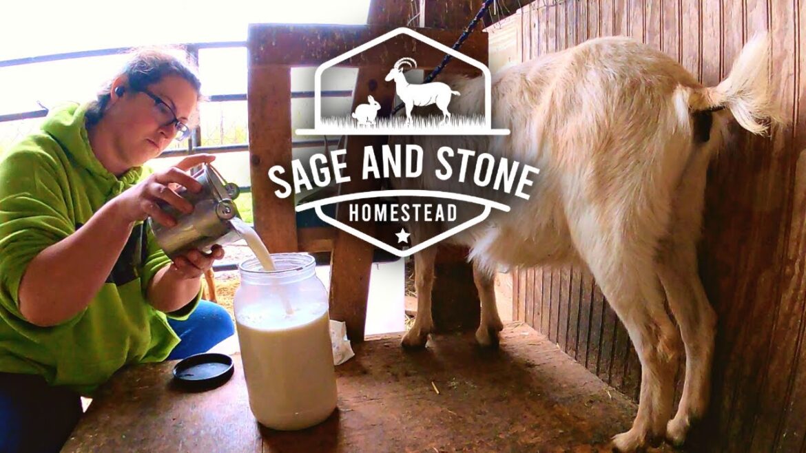 BABY WATCH Ahead of Severe Weather! Goat & Garden Update | Farm Life VLOG