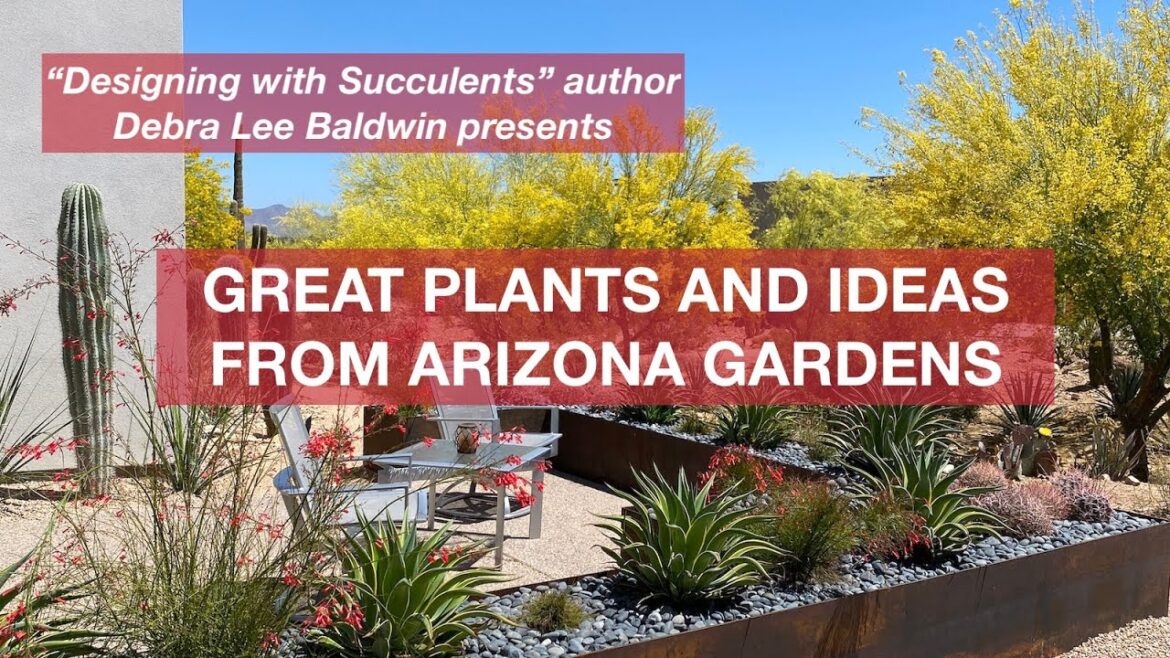 Great Plants and Ideas from Arizona Gardens