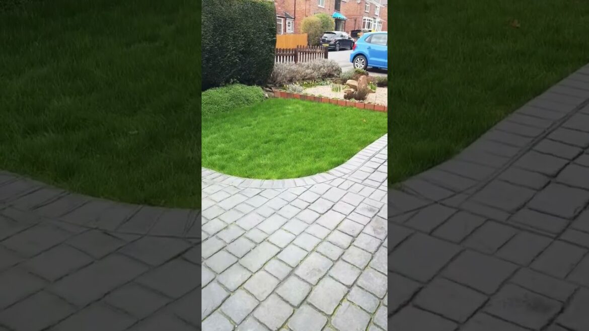 WHAT A DIFFERENCE! Rear Lawn: High Usage.  Front Lawn: No Usage. #lawntips