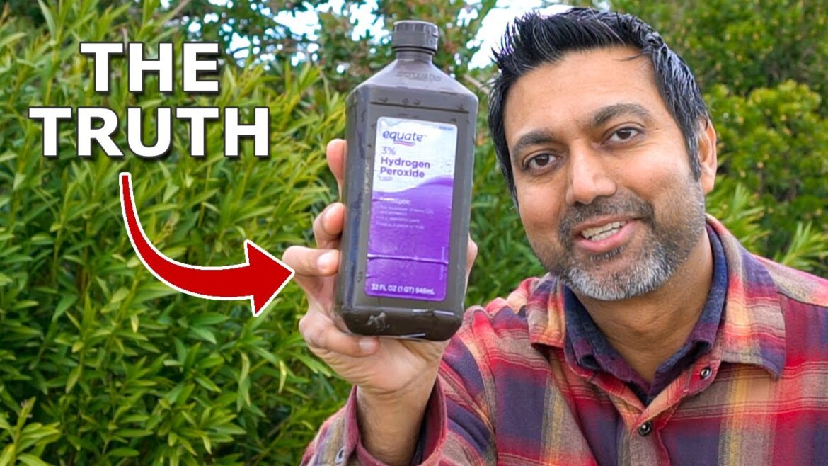 Truth About Using Hydrogen Peroxide in Gardening