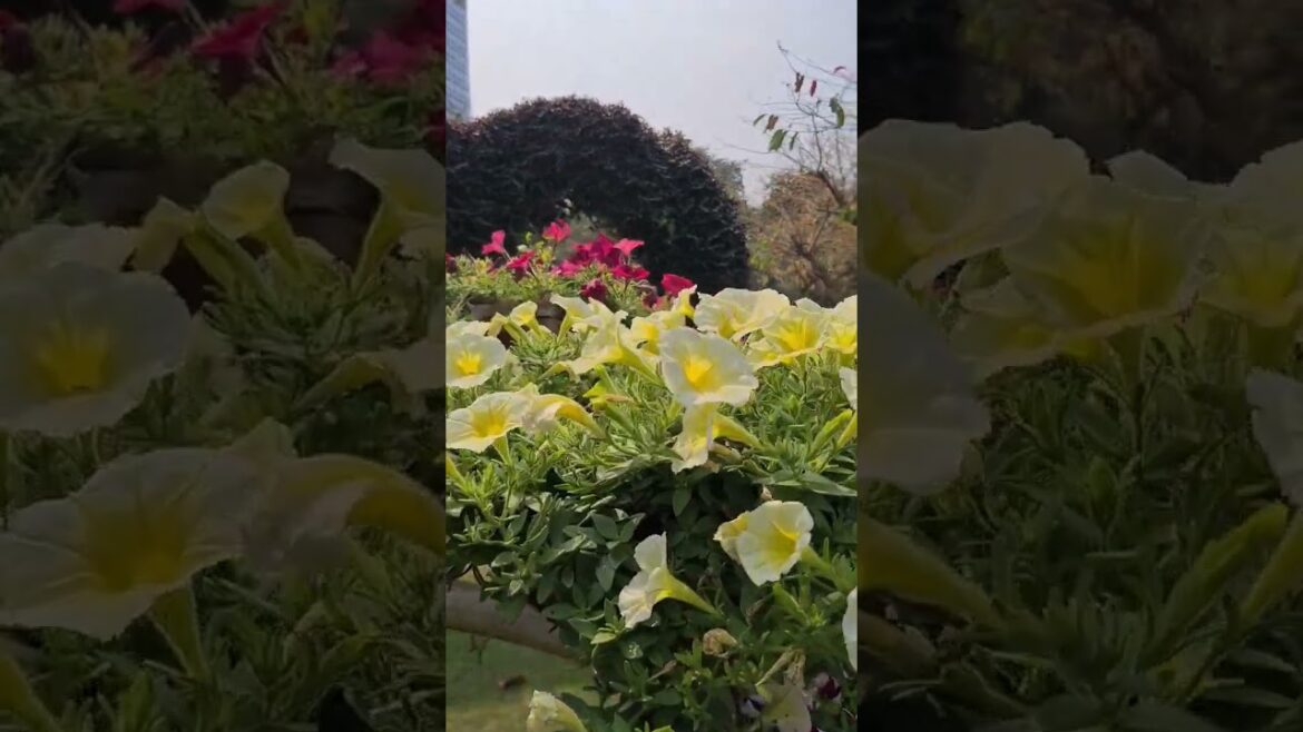 garden style idea, beautiful garden with beautiful design idea and flowers 💐 #garenafreefire  #diy