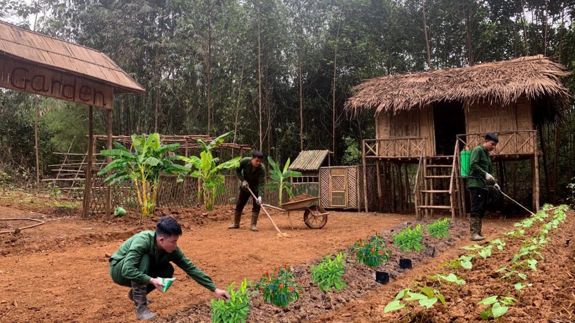 leveling the flat yard in front of the house,grow chili,take care of the vegetable garden,Daily life leveling the flat yard in front of the house,grow chili,take care of the vegetable garden,Daily life