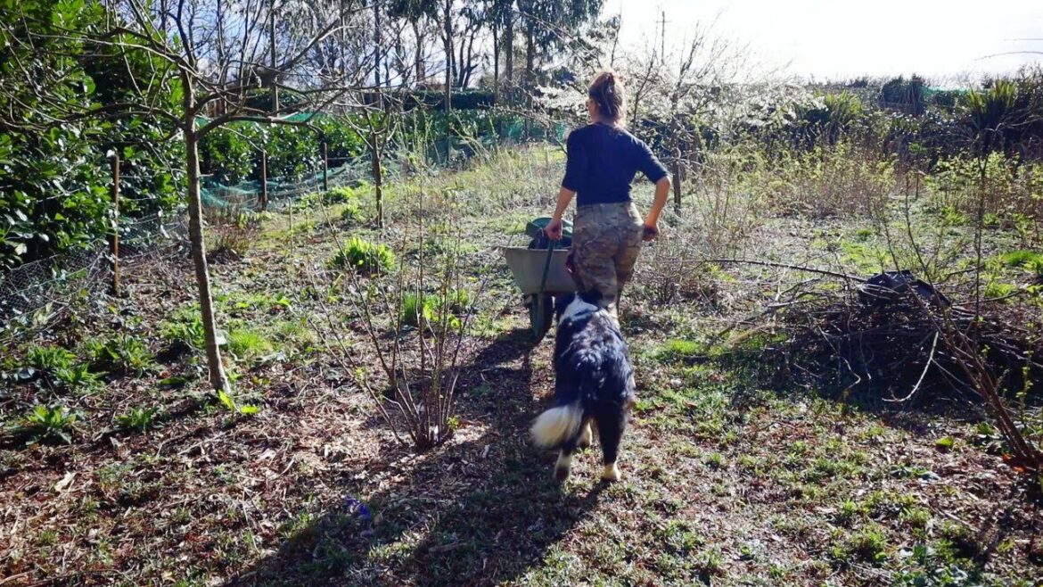 Forest Garden Additions | Forgotten Perennial Potato Bean | Hot Bed Issue & Spring Plantings - V5