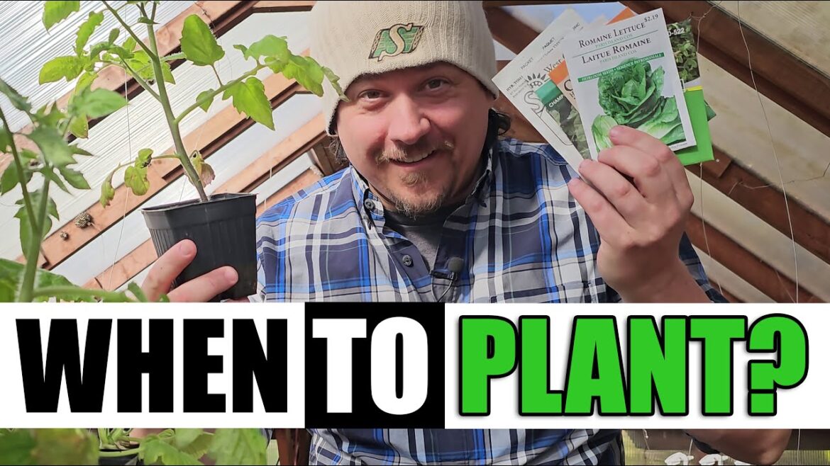 When Should We Plant? - Garden Quickie Episode 132