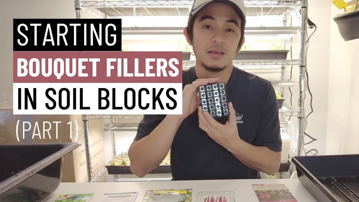 Starting Different Bouquet Filler Plant Varieties in Mini 20 Soil Blocks (Part 1)