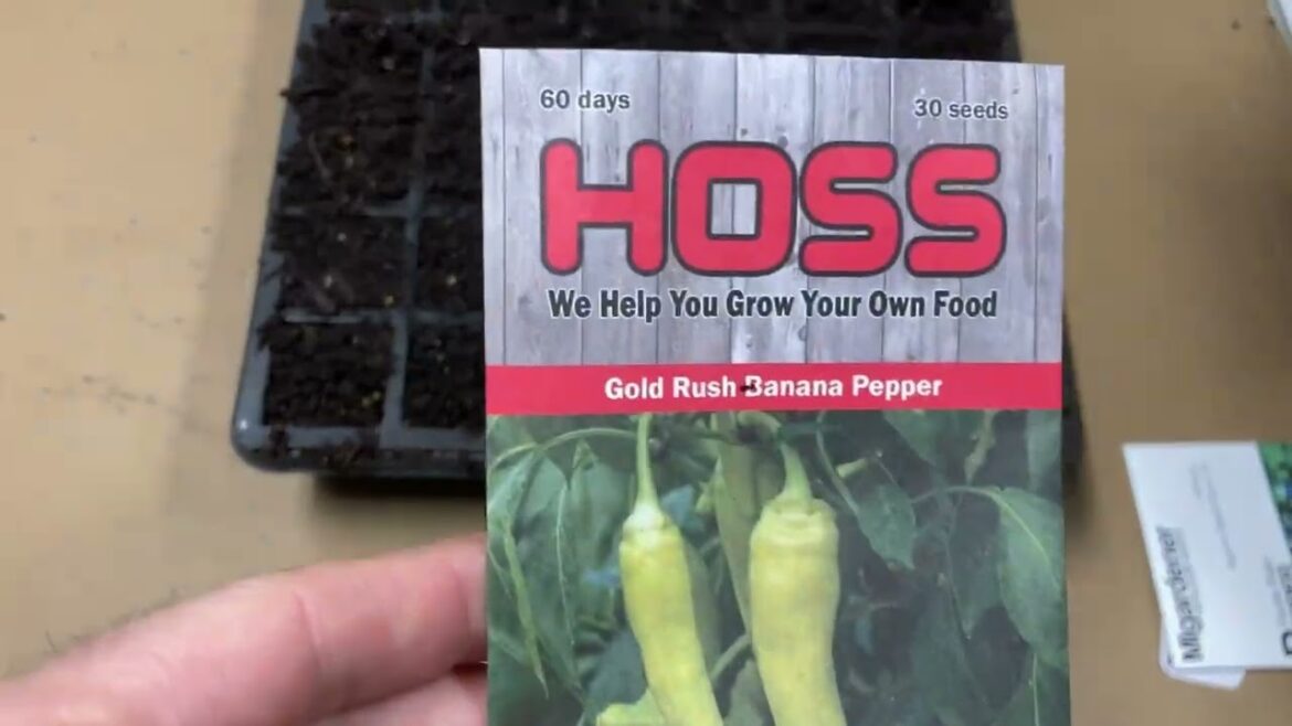 Seed Starting :: Peppers 🌶️ and Tomatoes 🍅  :: The Backyard Garden