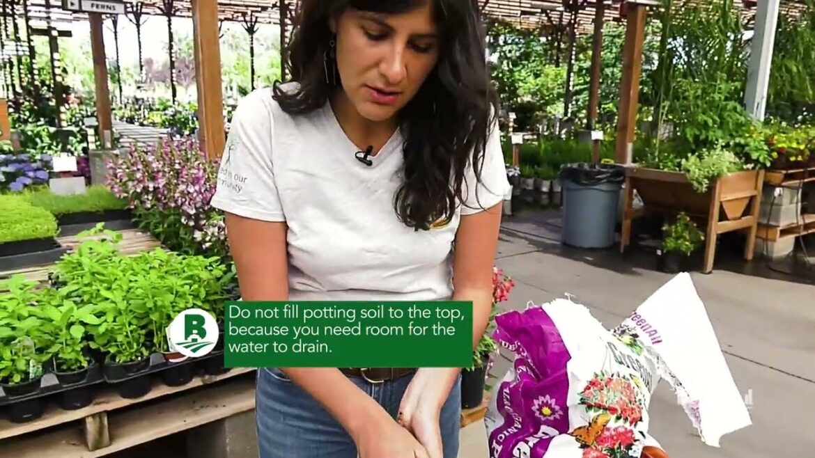 Starting an At-Home Herb Garden