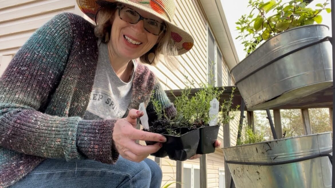 Plant a cocktail Garden to make herb infused drinks