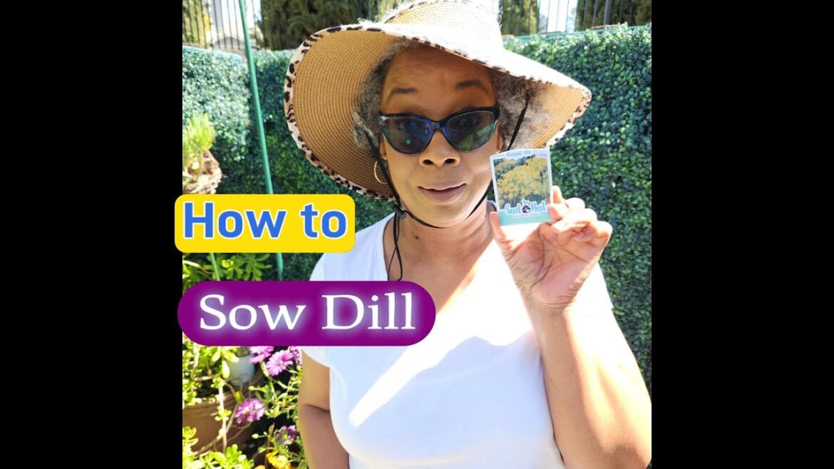 2023 Garden Planting Begins Today! | Episode 1 - Bouquet Dill