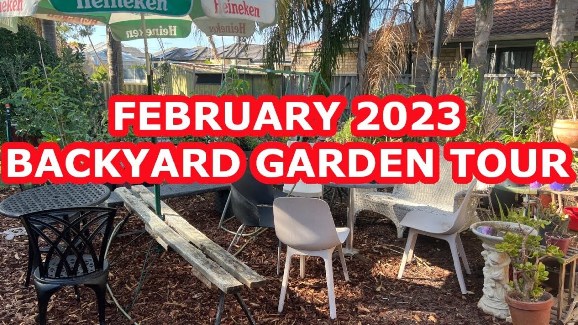 Backyard Garden Tour – February 2023 #gardentransformation Backyard Garden Tour - February 2023 #gardentransformation