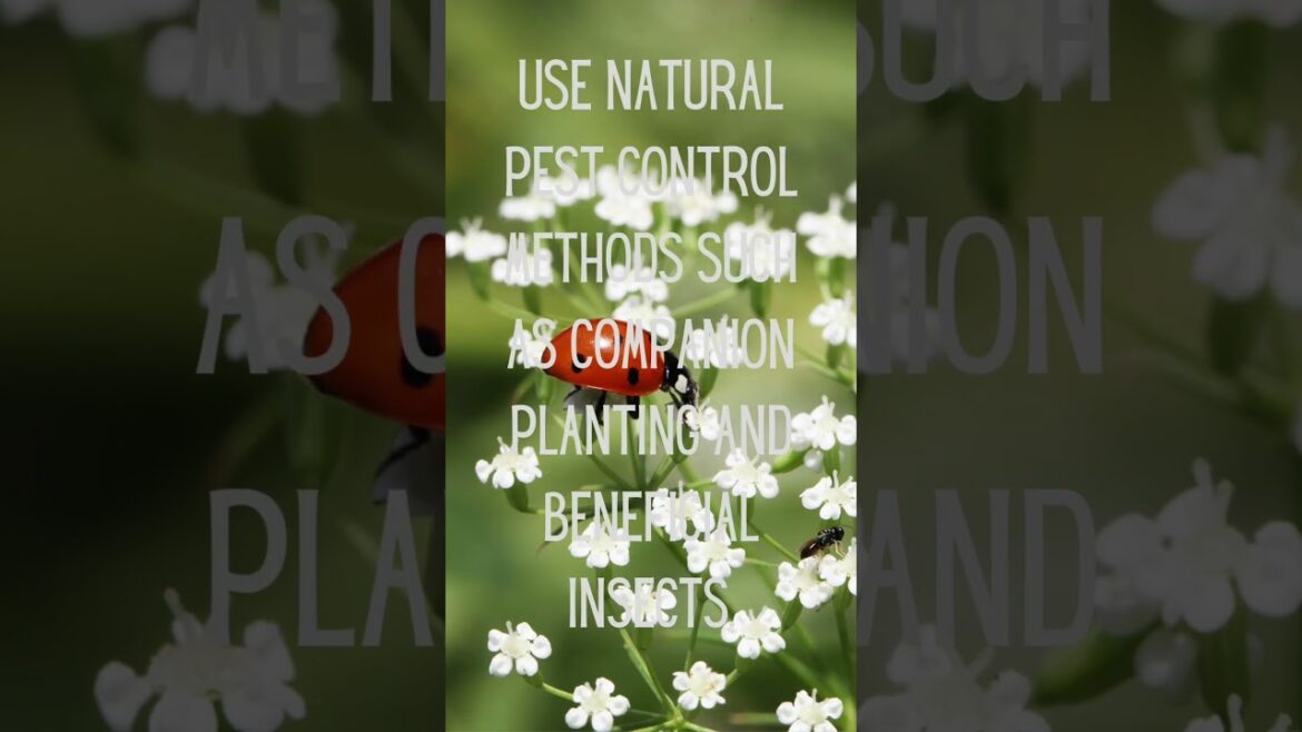 My Top 30 Gardening Tips in 30 Days #march31challenge #garden #tips #plants