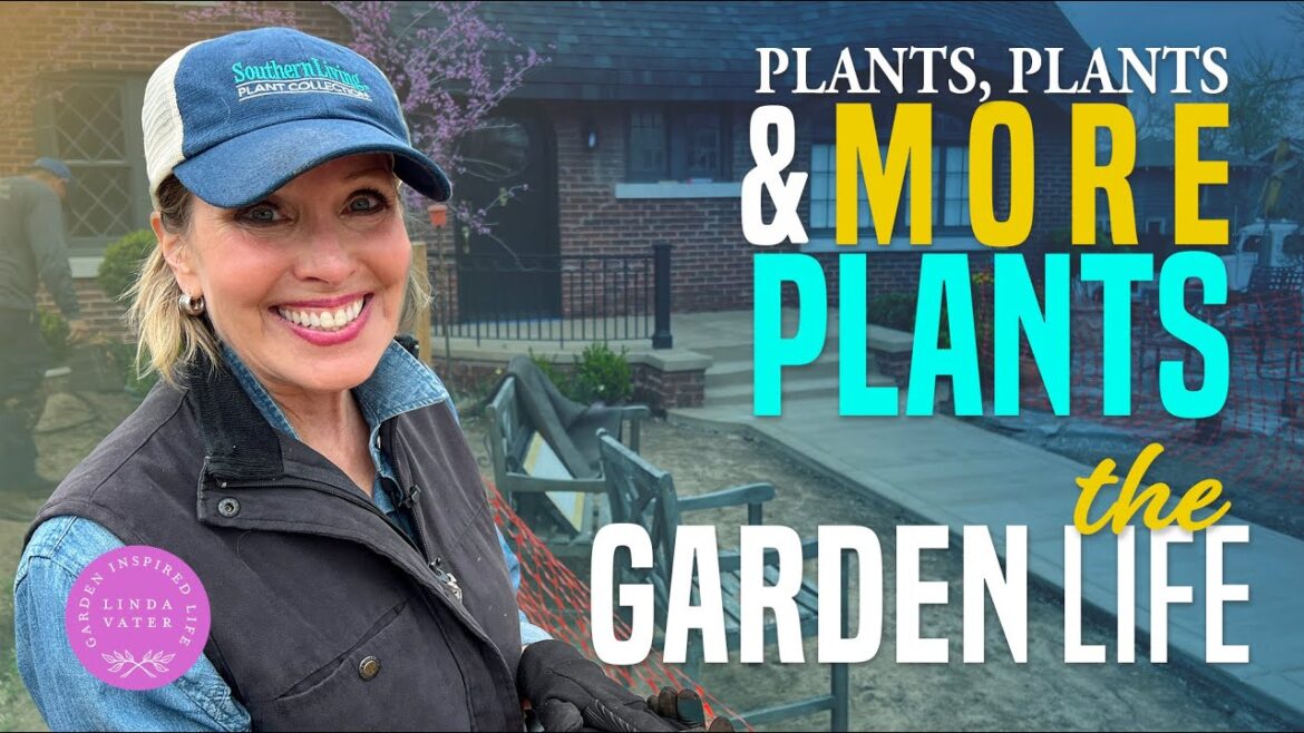 Plants, plants and more Plants! Let’s Garden with SOUTHERN LIVING! Plants, plants and more Plants! Let’s Garden with SOUTHERN LIVING!