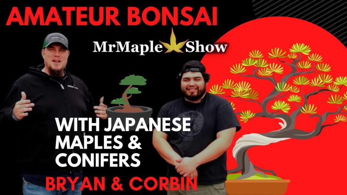 The Amateur Bonsai Guys! | Bonsai with Japanese Maples & Conifers | Gardening 101 | DIY Gardening The Amateur Bonsai Guys! | Bonsai with Japanese Maples & Conifers | Gardening 101 | DIY Gardening