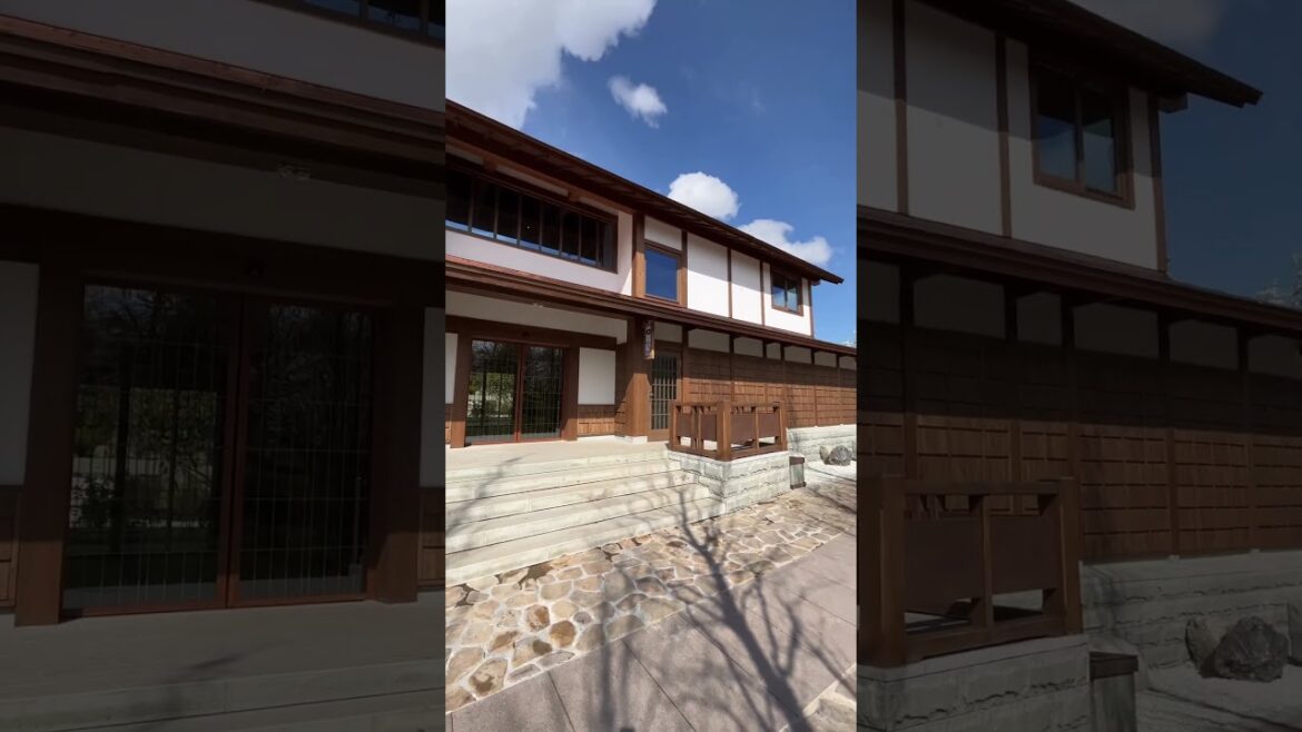 Японский Сад Краснодар Japanese Garden Krasnodar 日本庭園クラスノダール #日本 #japan