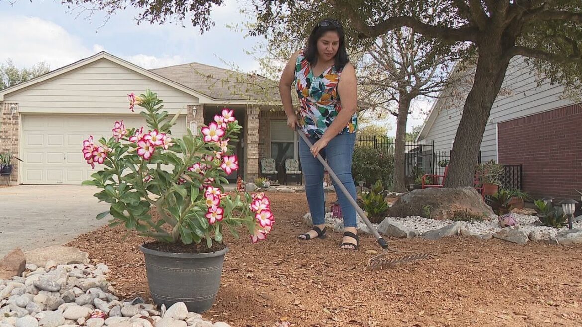 How to xeriscape your front yard How to xeriscape your front yard