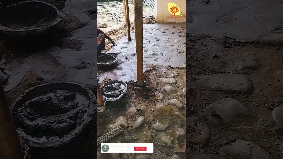 labours Are Working Hard To Making Floor | #flooring #shorts #short #youtubeshorts labours Are Working Hard To Making Floor | #flooring #shorts #short #youtubeshorts