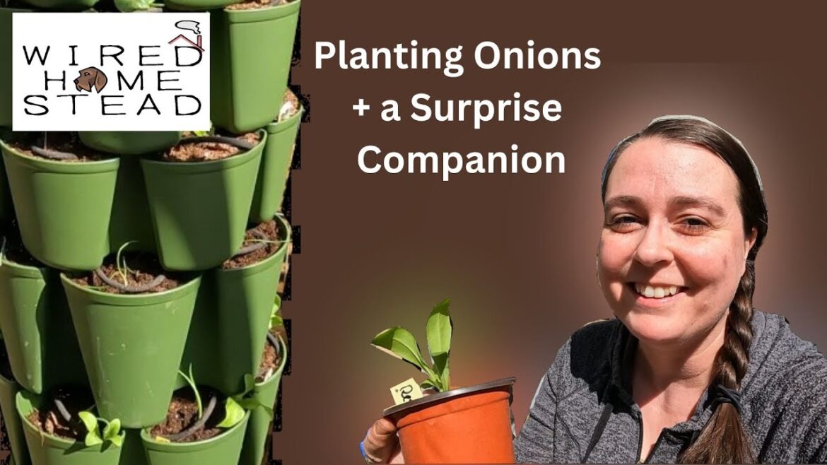 Growing Your Own Food | Planting Onions | Changing up Garden Plans and a Short Update Growing Your Own Food | Planting Onions | Changing up Garden Plans and a Short Update