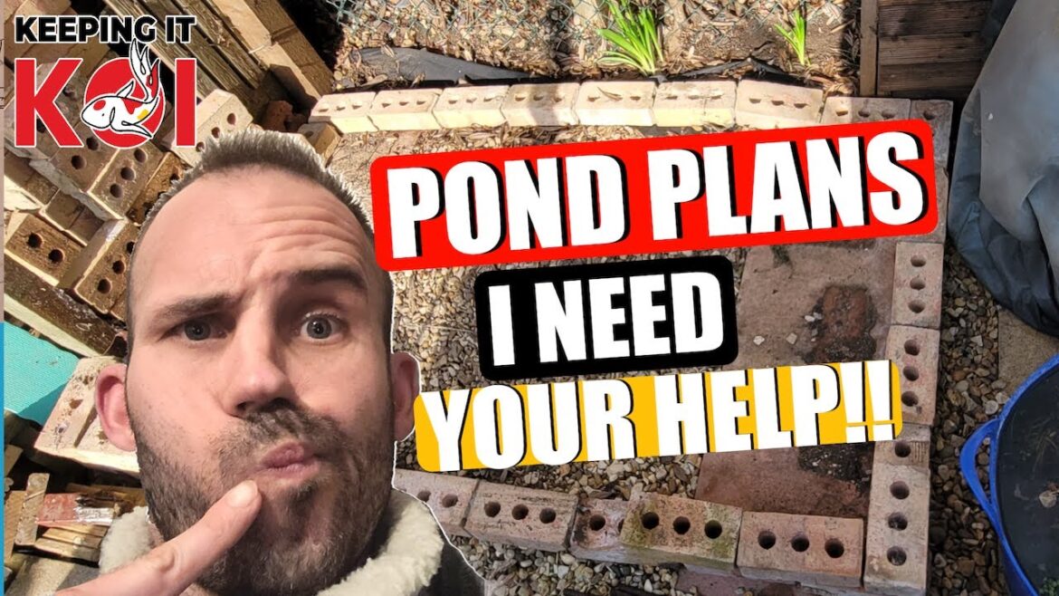 New Pond Plans, Garden Plans & I Need Your Guys Help Please ππ New Pond Plans, Garden Plans & I Need Your Guys Help Please ππ