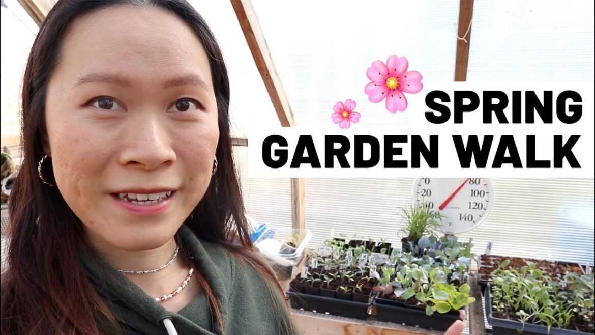 Early Spring garden walk + seedling update // GroundedHavenHomestead