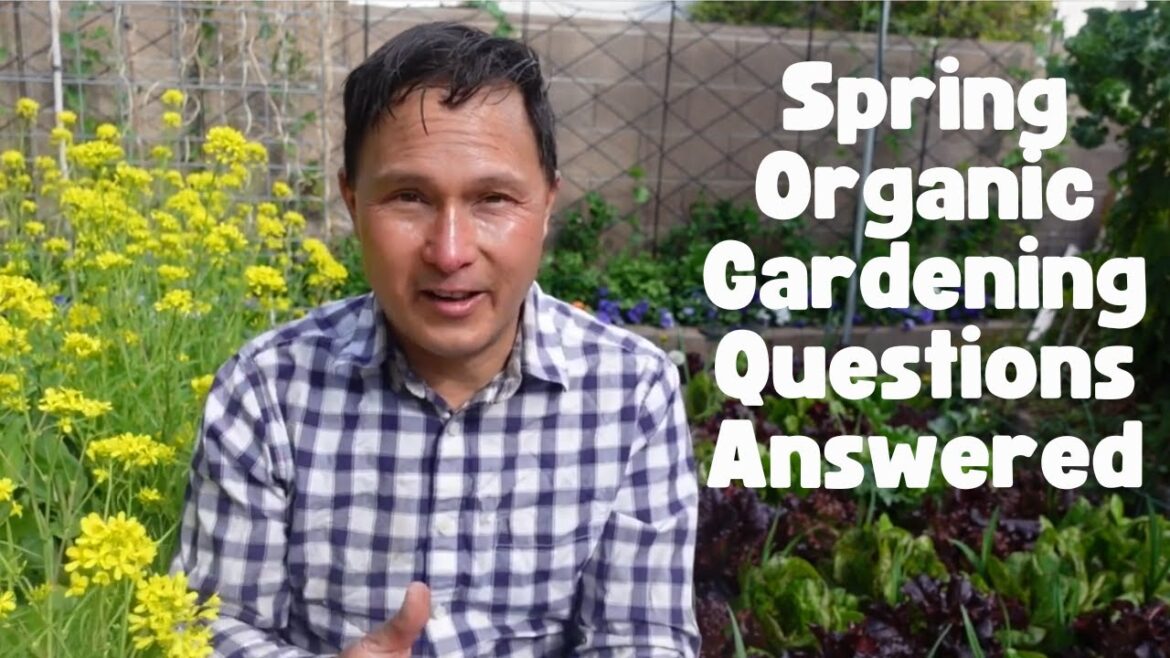 Answering Your Spring Organic Vegetable Gardening Questions