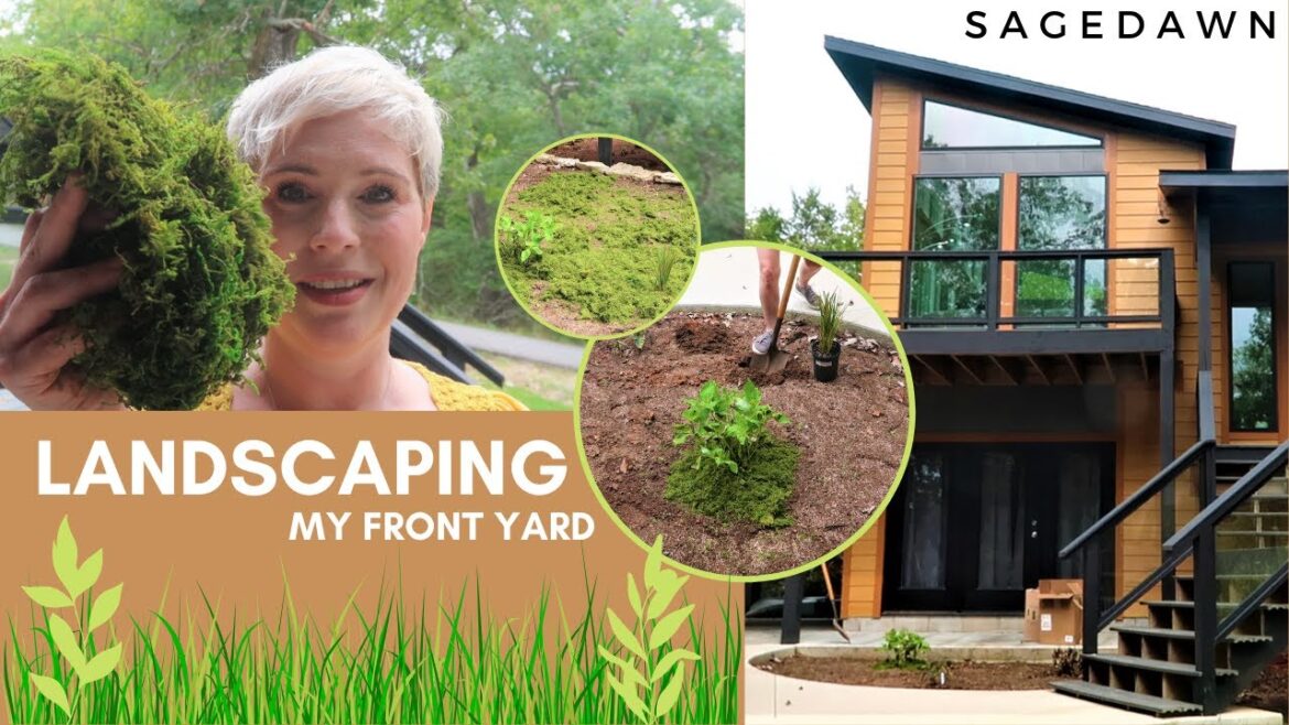 Landscaping my Front Yard Landscaping my Front Yard