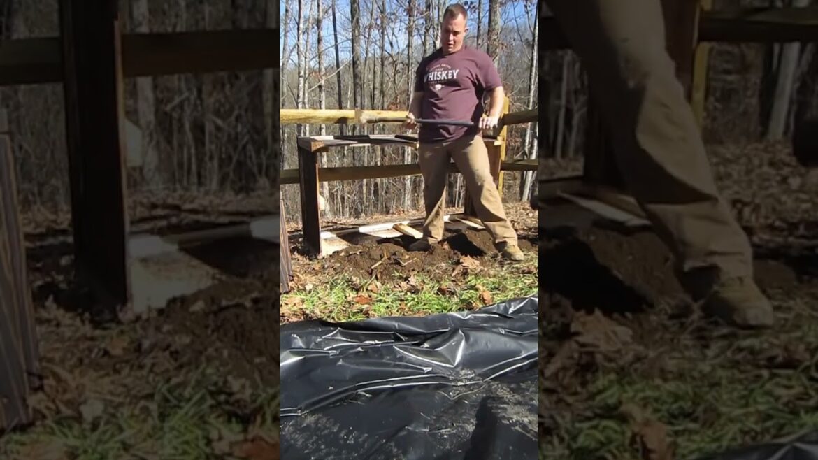 Installing Raised Garden Beds 🌱 #backyard #backyardgarden #backyardgardening #buildingahomestead