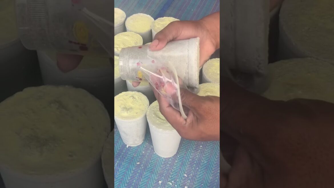 Amazing Cement Craft Tips For You - Garden Design And Decoration Ideas - Easy And Beautiful#shorts