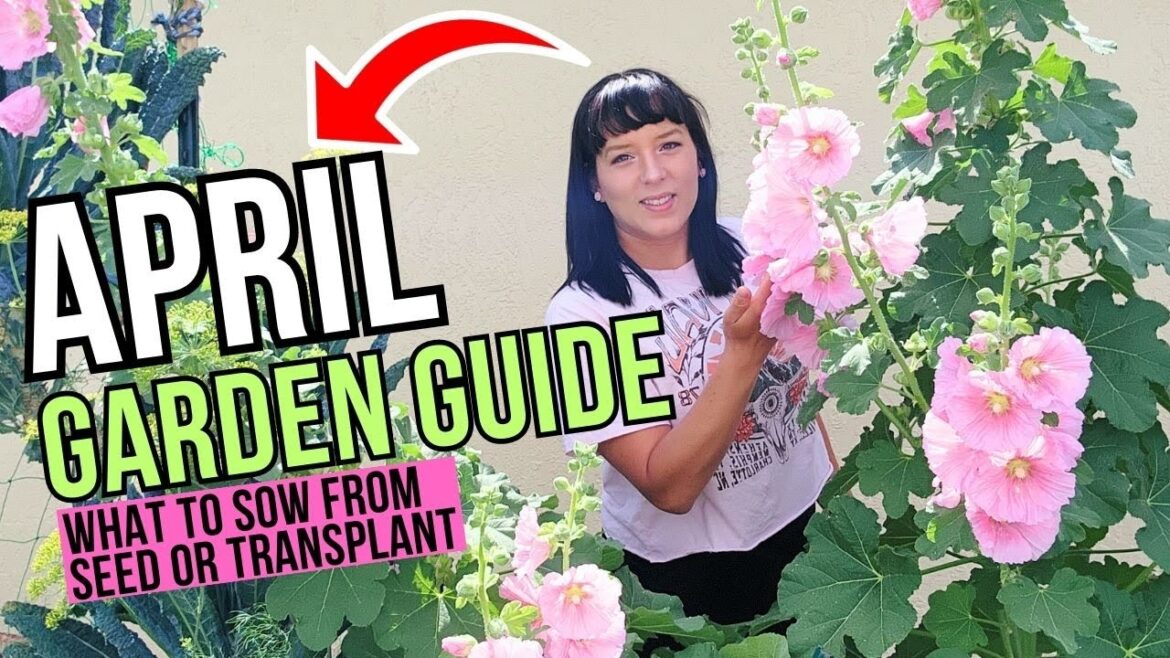 April Garden Guide: What to start from seed or transplant this month #garden #springgarden #April