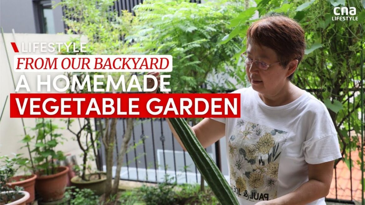 From garden to table: She harvests and cooks vegetables grown in her backyard | CNA Lifestyle