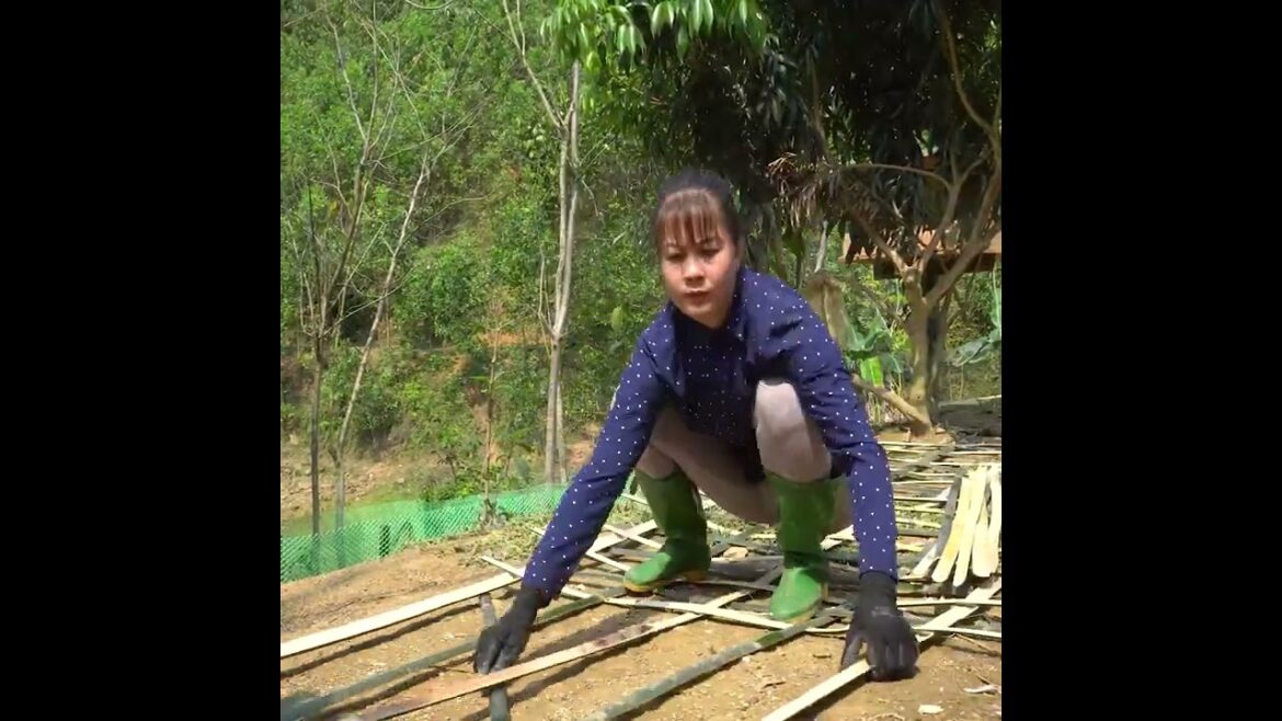 A Day Of Vegetable Gardening, Make Gourds - Befriend the puppy