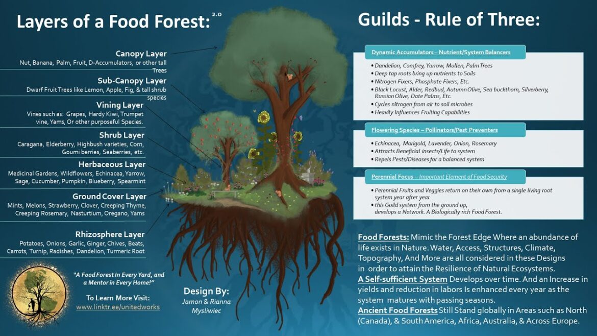 FREE Permaculture Resources! | Live TIAG Event Resources | The Independent American Gardener