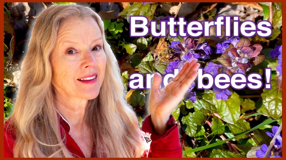 SPRING ARRIVES! (with wind!) Perennials, Wildflowers, Cats and MORE!