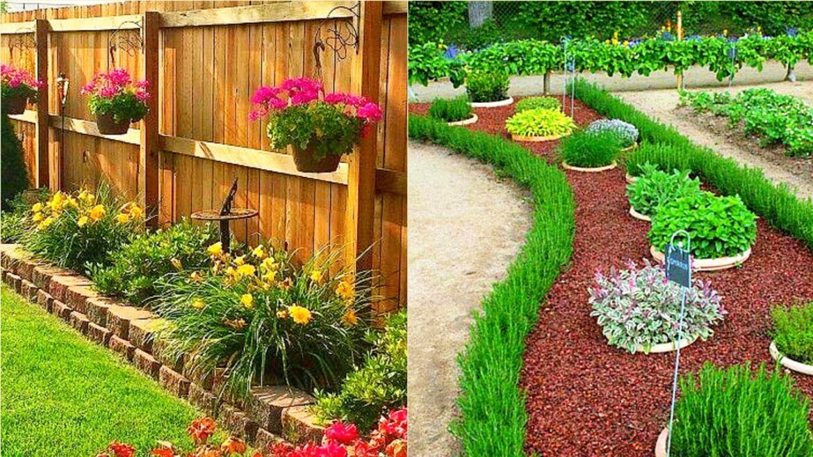 Amazing Cheap Garden Plant Decoration Ideas For Home Decoration